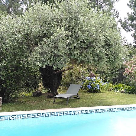 Bed and Breakfast Brin d Ardèche Lentilleres Exterior foto