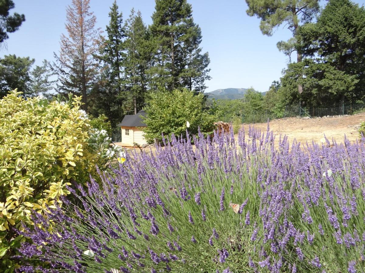 Bed and Breakfast Brin d Ardèche Lentilleres Exterior foto