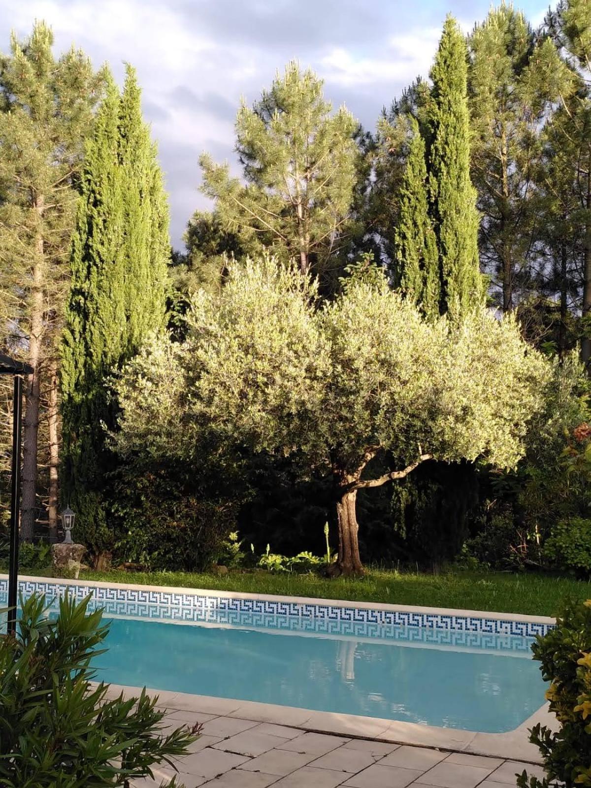 Bed and Breakfast Brin d Ardèche Lentilleres Exterior foto